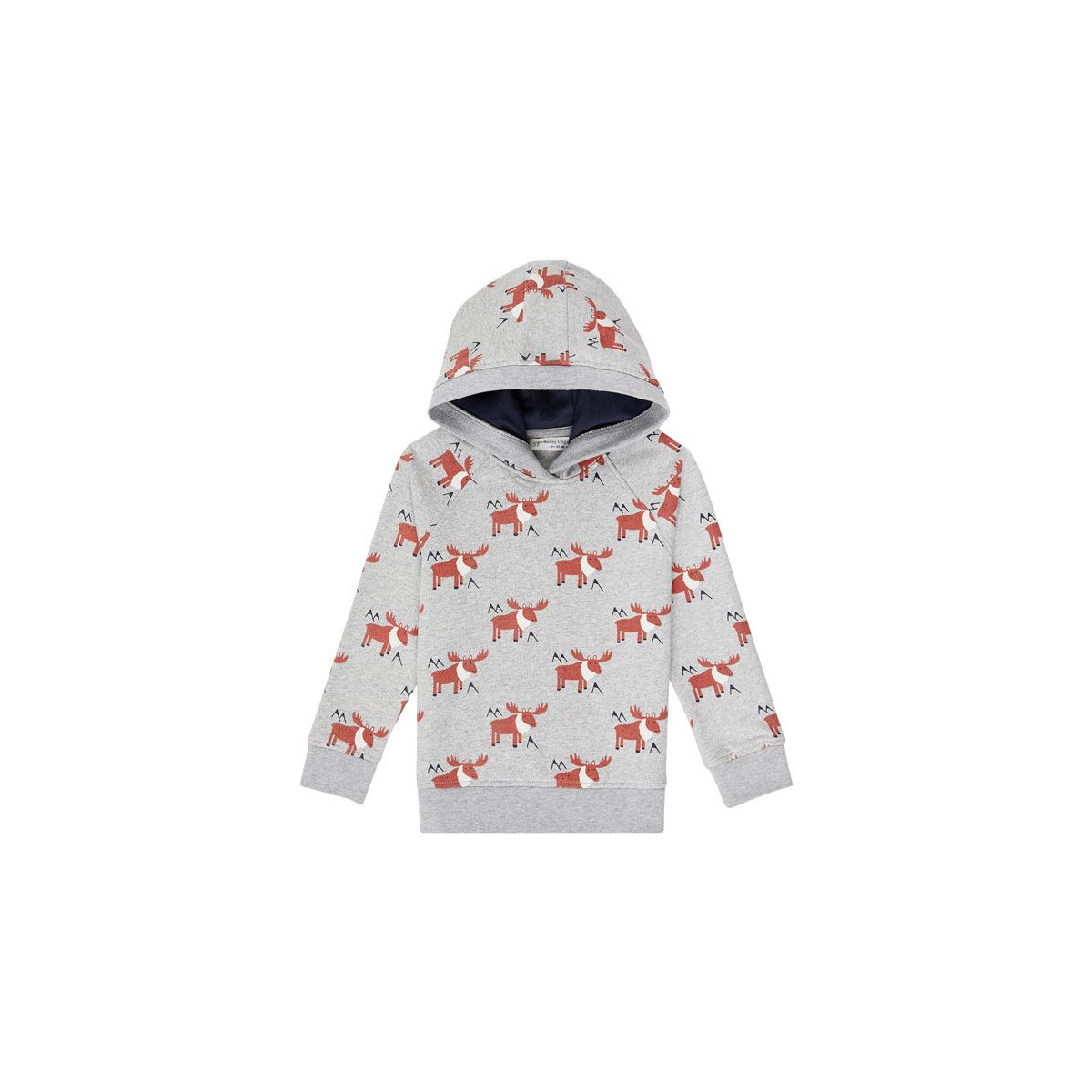 Jonas Hooded Sweater Sense Organics AOP Reideer